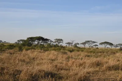 DSC_3785 (Large).JPG